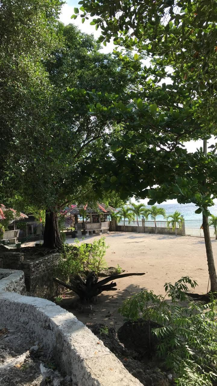 Cebu Business Directory - Bigsand Resort and Campgrounds - 1 Star - Photo 3