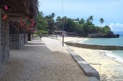 Cebu Business Directory - Sayaw Beach Resort - Photo 1