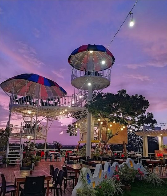 Cebu Business Directory - The Tree House by Manna Grill - Photo 2
