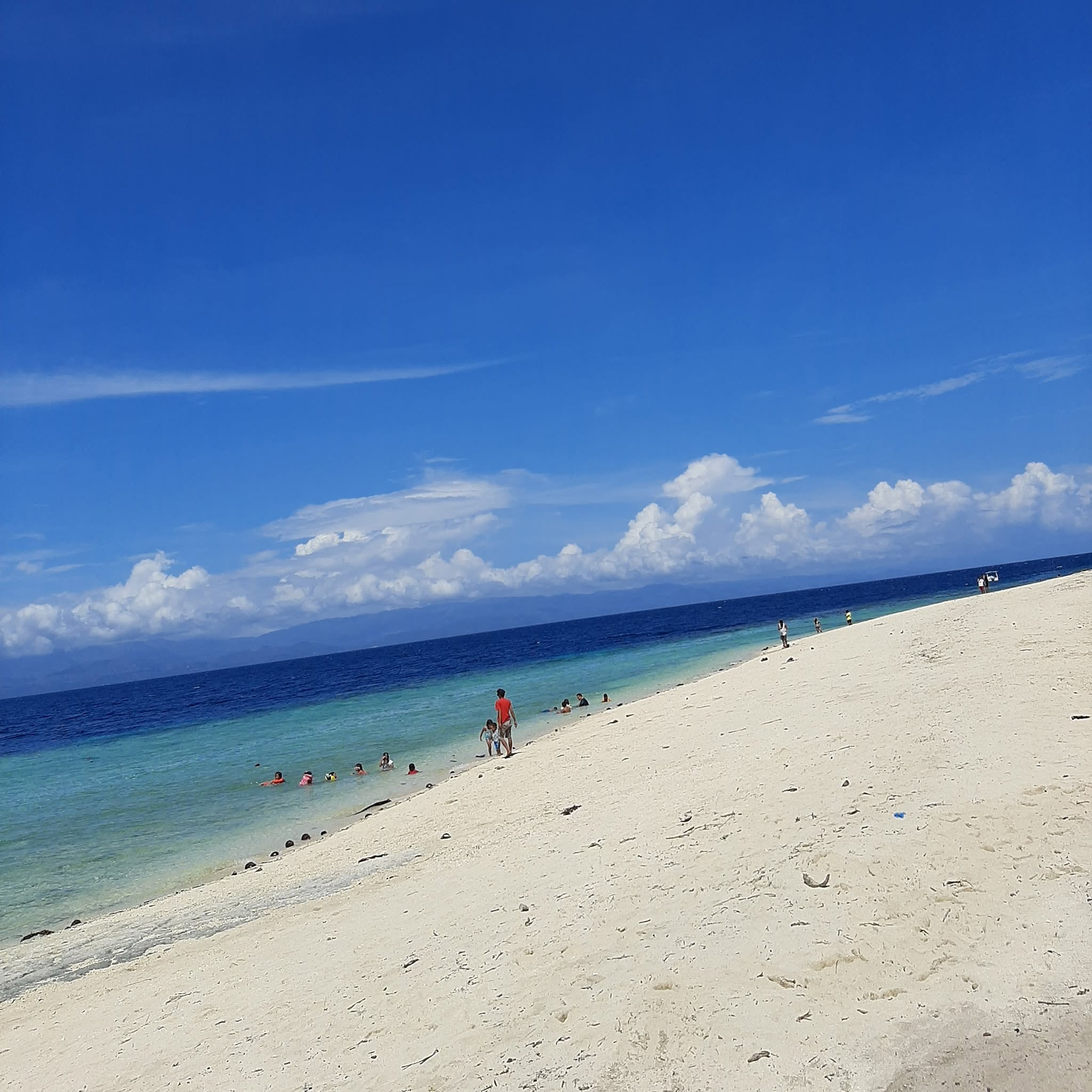 Cebu Business Directory - Faciol's Beach Resort - 1 Star logo