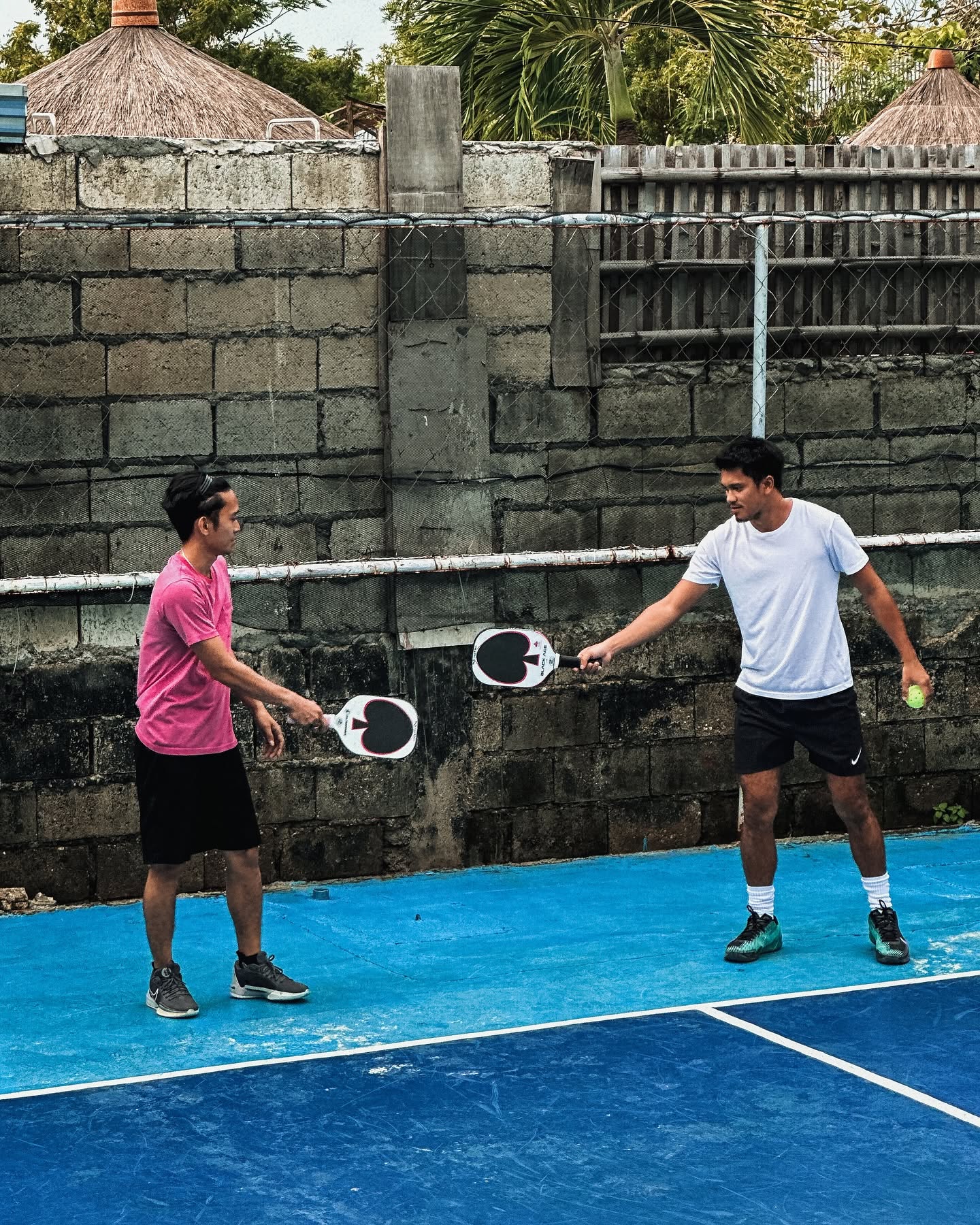Cebu Business Directory - Tropical Pickleball Moalboal - Gallery 3