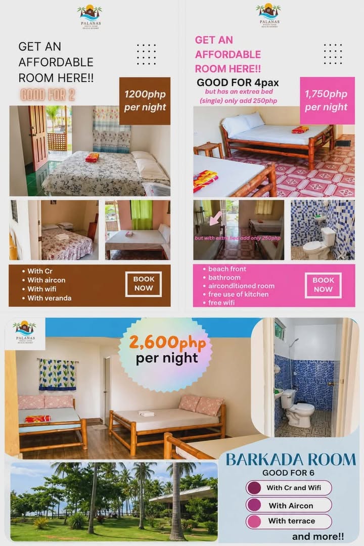 Cebu Business Directory - Palanas White Sand Beach Resort - Photo 3