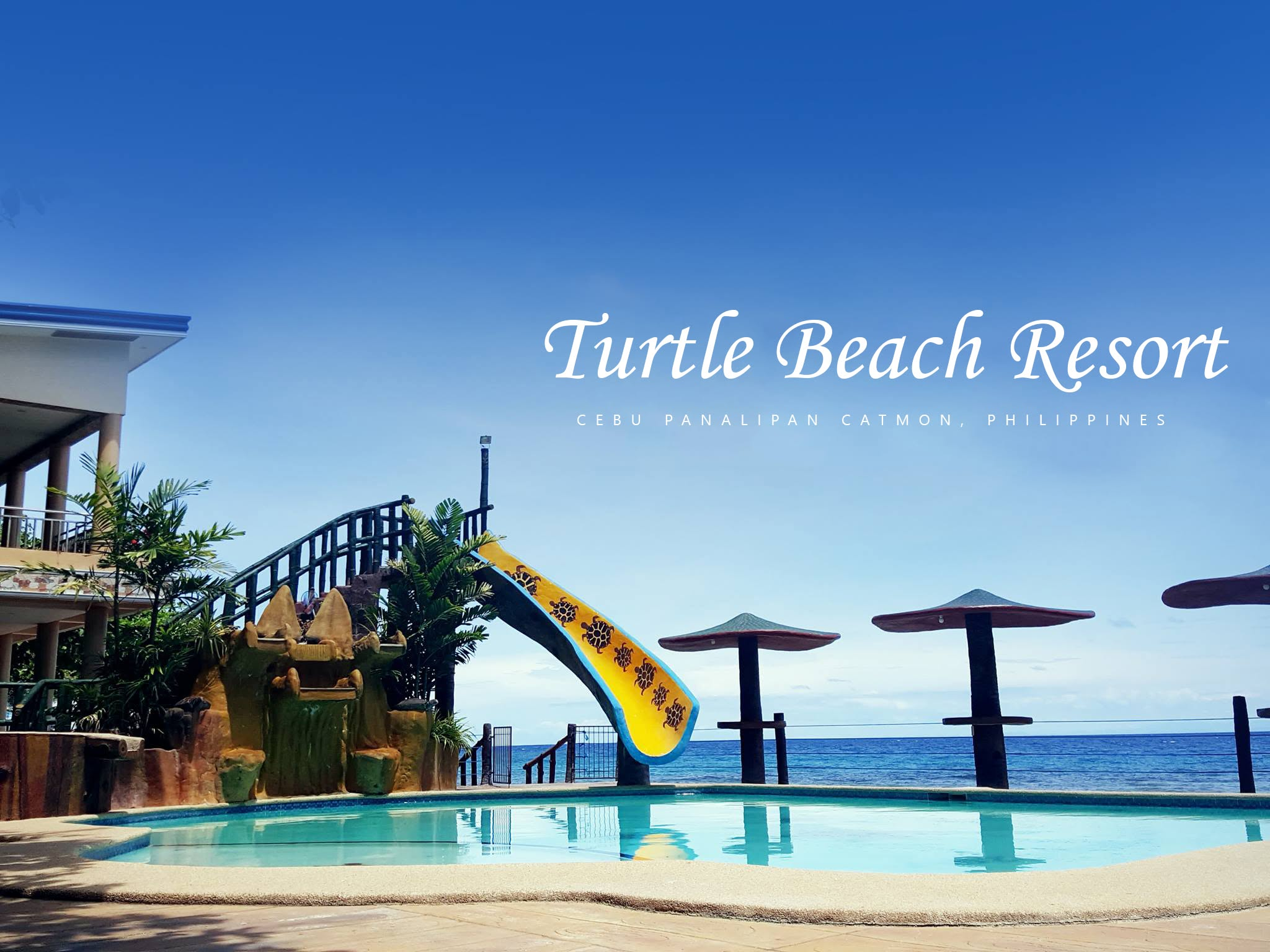 Cebu Business Directory - Turtle Beach Resort - Photo 2