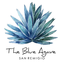 Cebu Business Directory - The Blue Agave logo