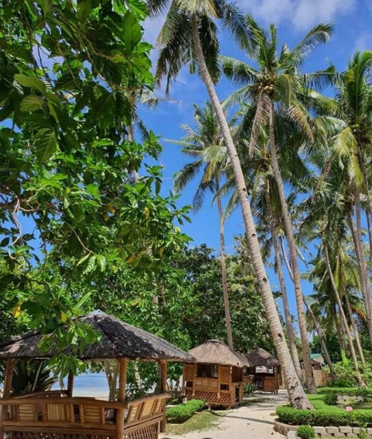 Cebu Business Directory - Malbago White Sand Beach Resort - Gallery 1