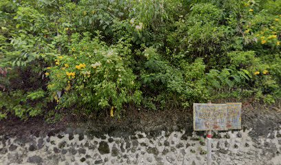 Cebu Business Directory - Samboan Rural Health Unit - Gallery 1