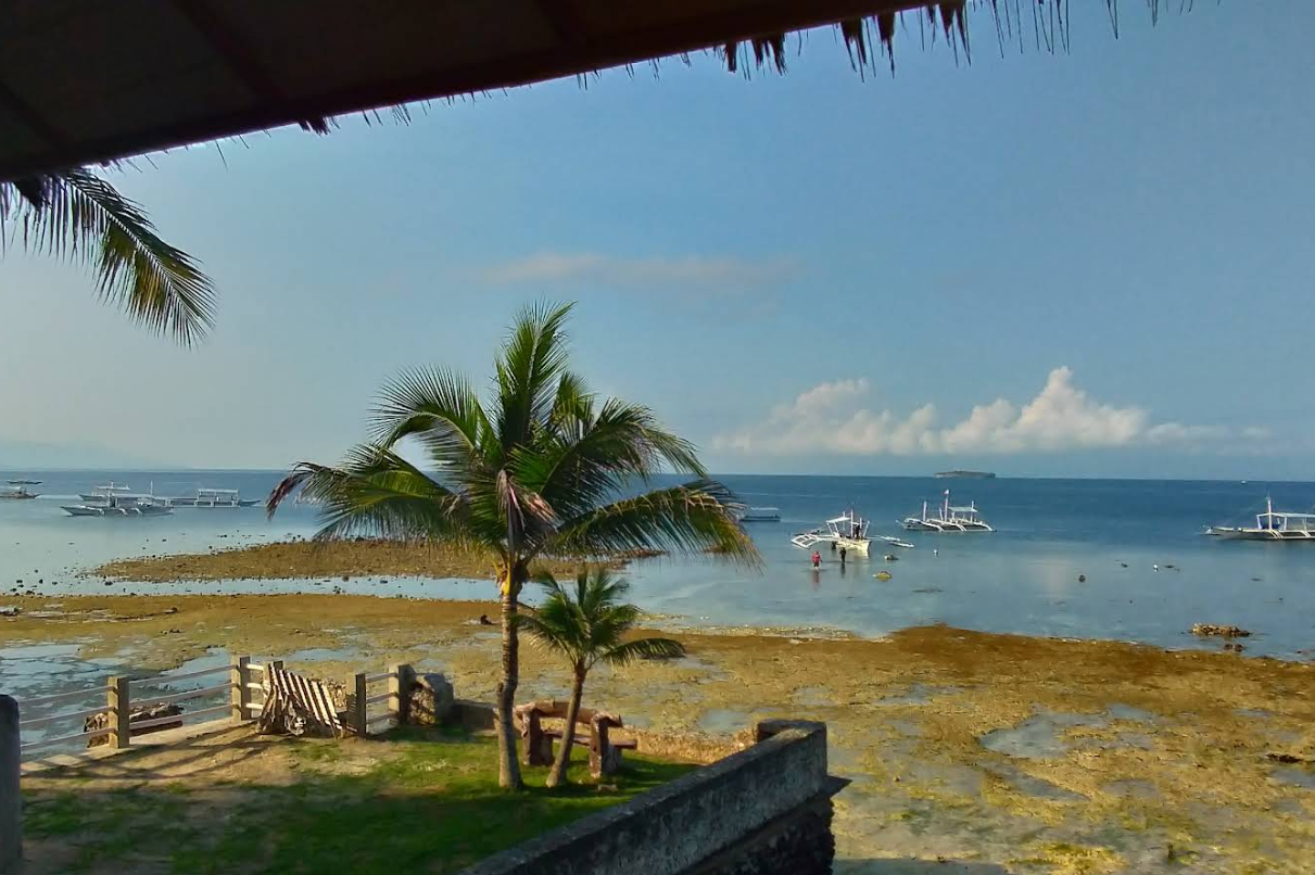 Cebu Business Directory - Susan's Seaview Resort - 1 Star - Gallery 2