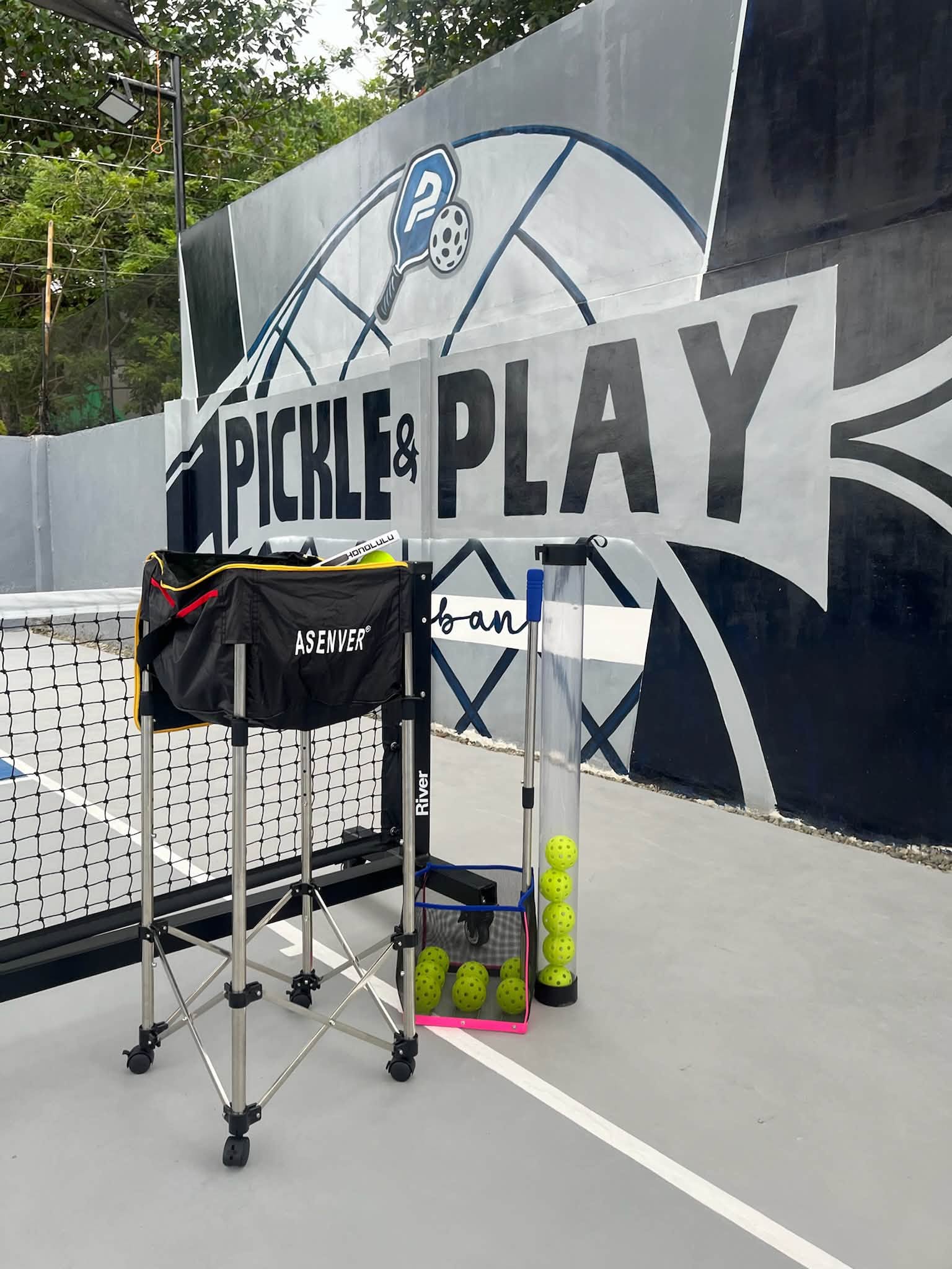 Cebu Business Directory - Pickle & Play Balamban - Gallery 3