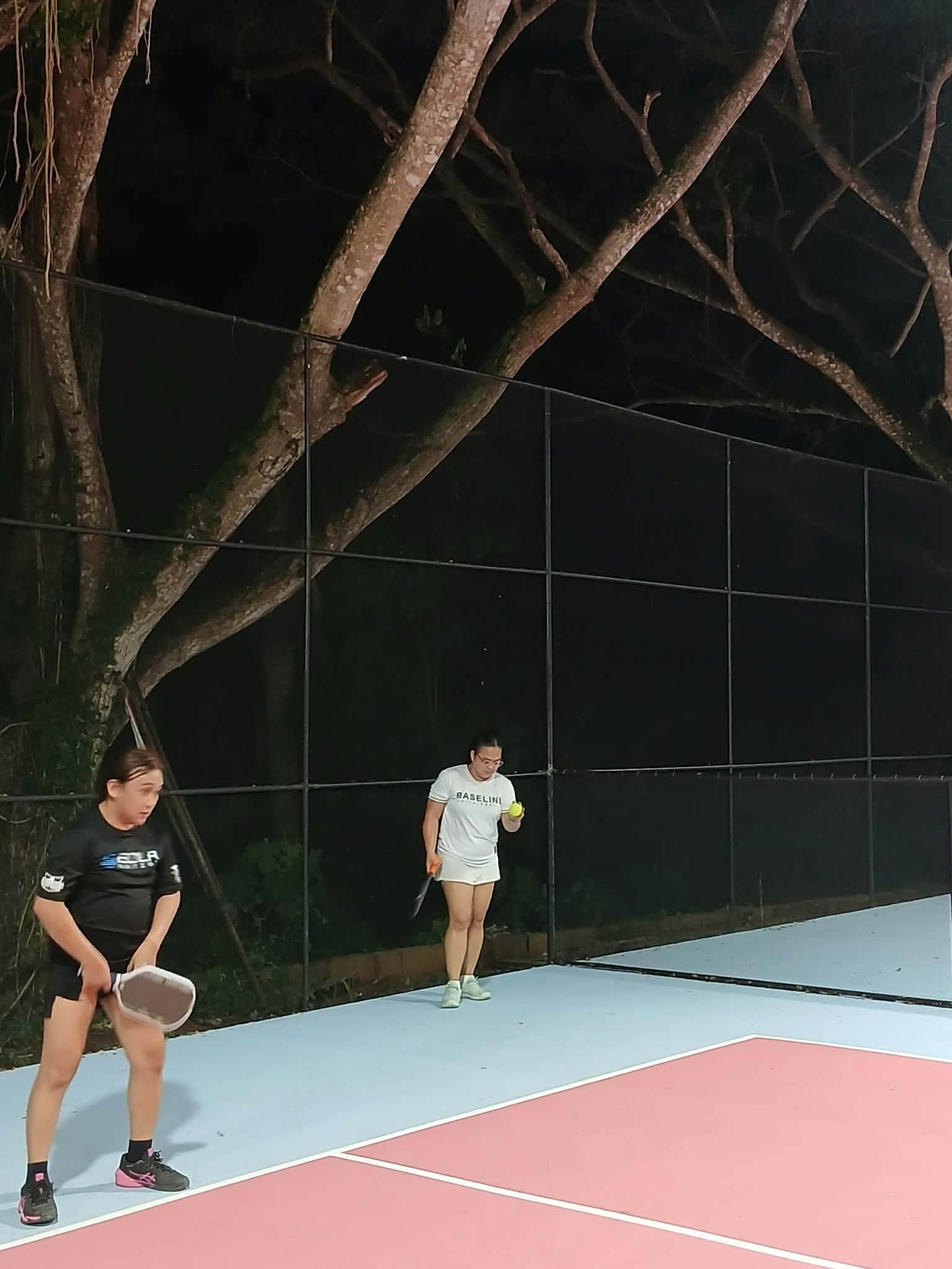 Cebu Business Directory - Baseline Pickleball - Photo 2