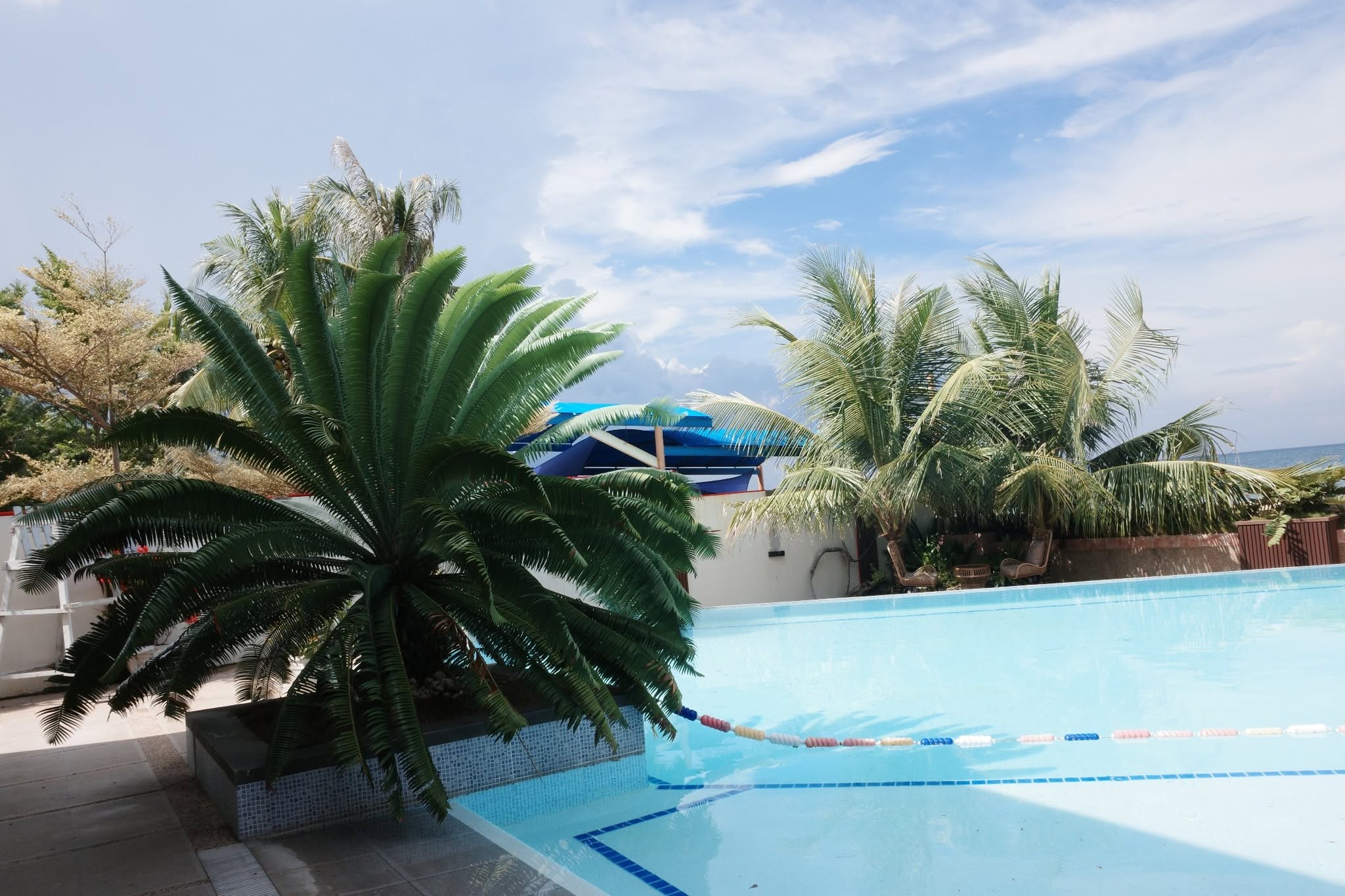 Cebu Business Directory - Tree Rings Beach Resort - Photo 3