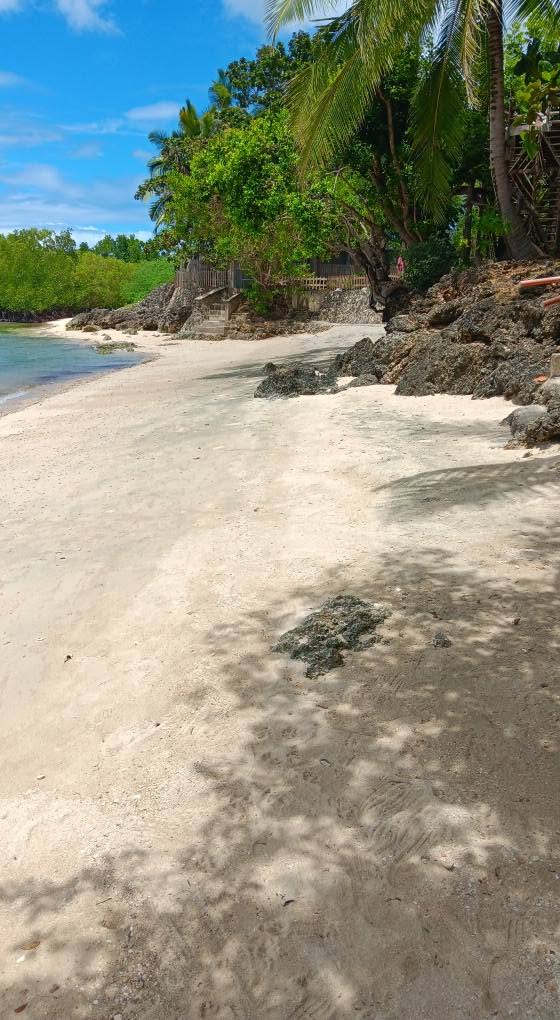 Cebu Business Directory - Pa Nando Beach Resort - Photo 2