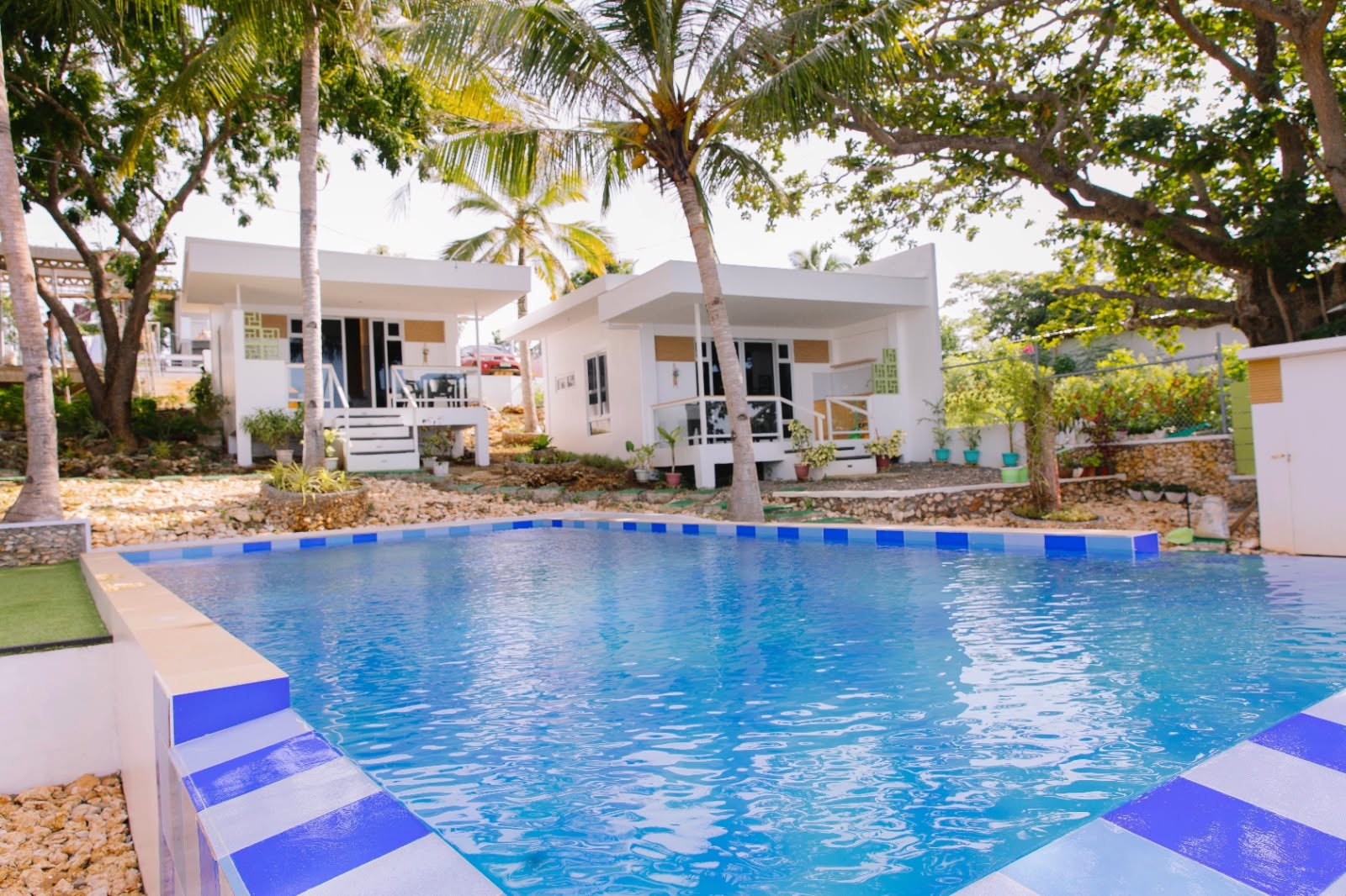 Cebu Business Directory - Tulang Diot View and turtle heaven - Photo 3