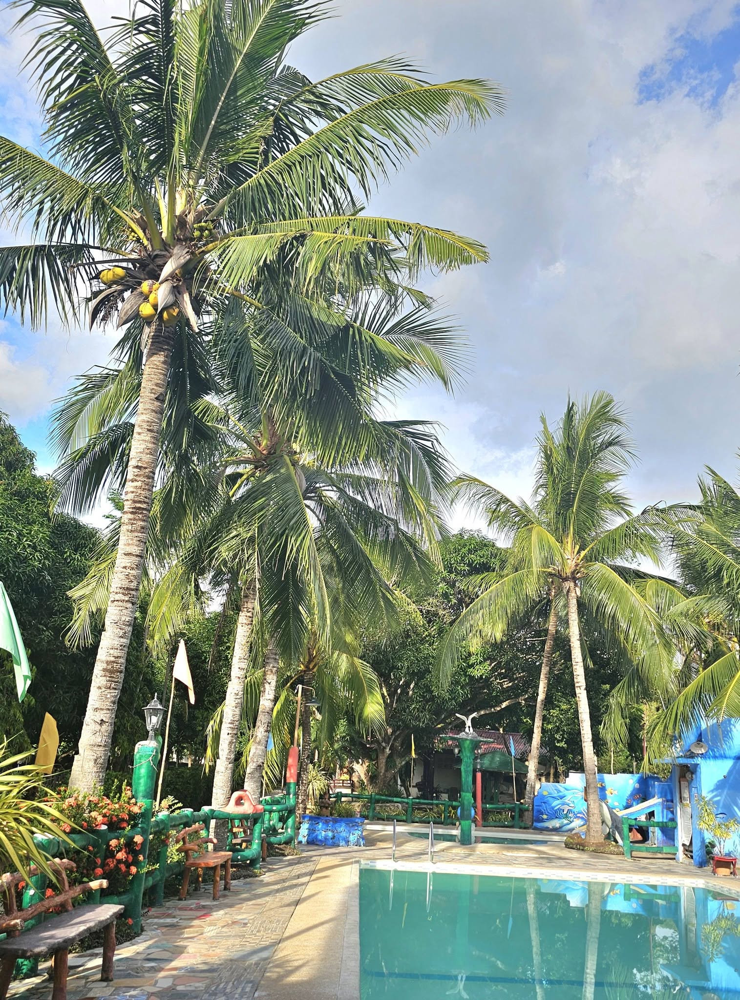 Cebu Business Directory - RINAFE BEACH RESORT - Photo 2