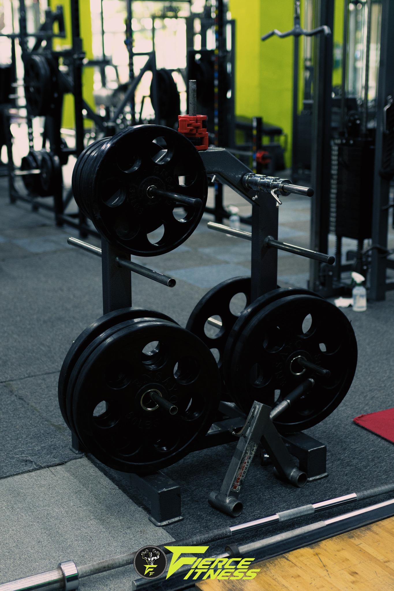Cebu Business Directory - Fierce Fitness Hub - Photo 8
