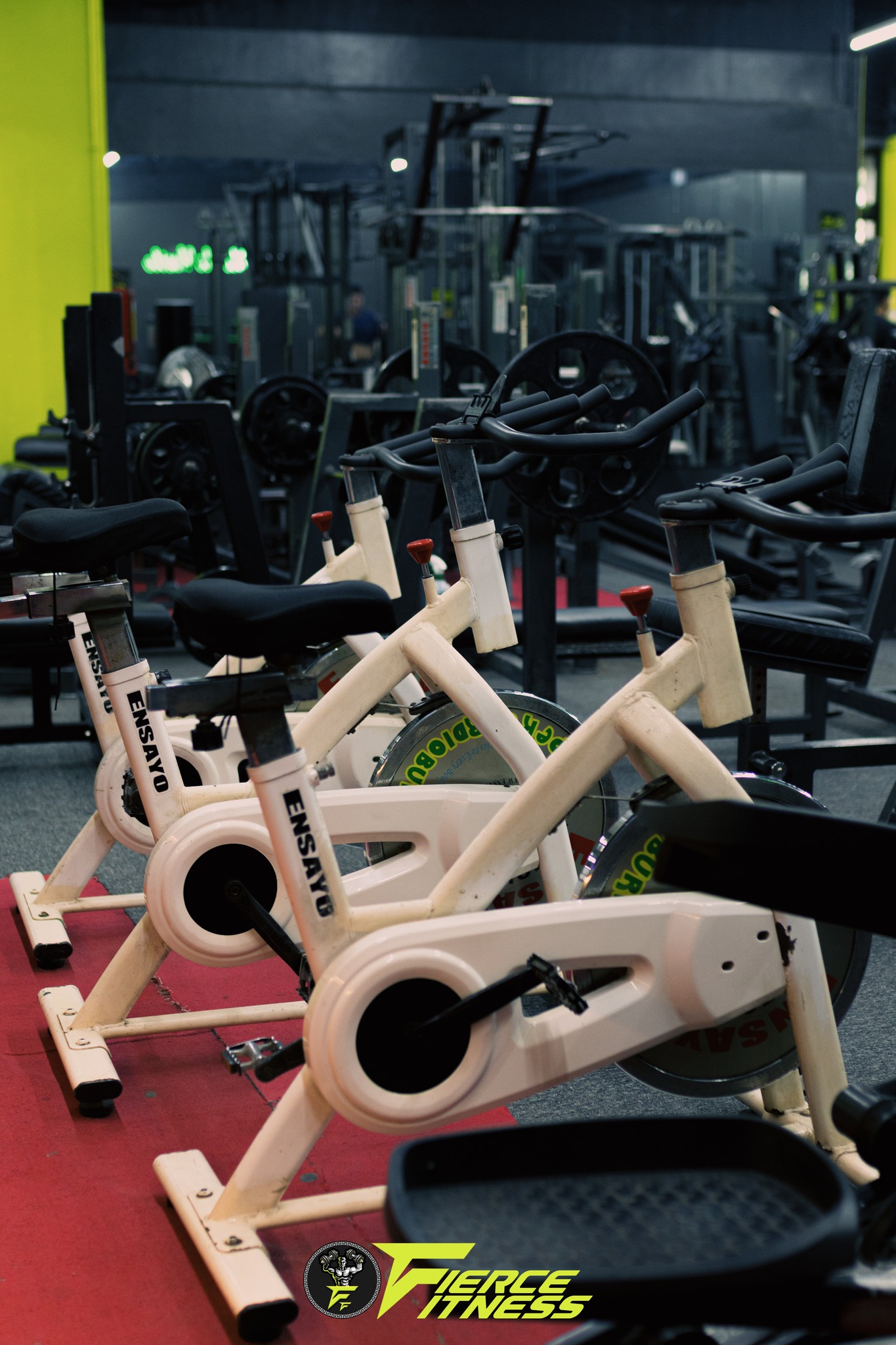Cebu Business Directory - Fierce Fitness Hub - Gallery 5
