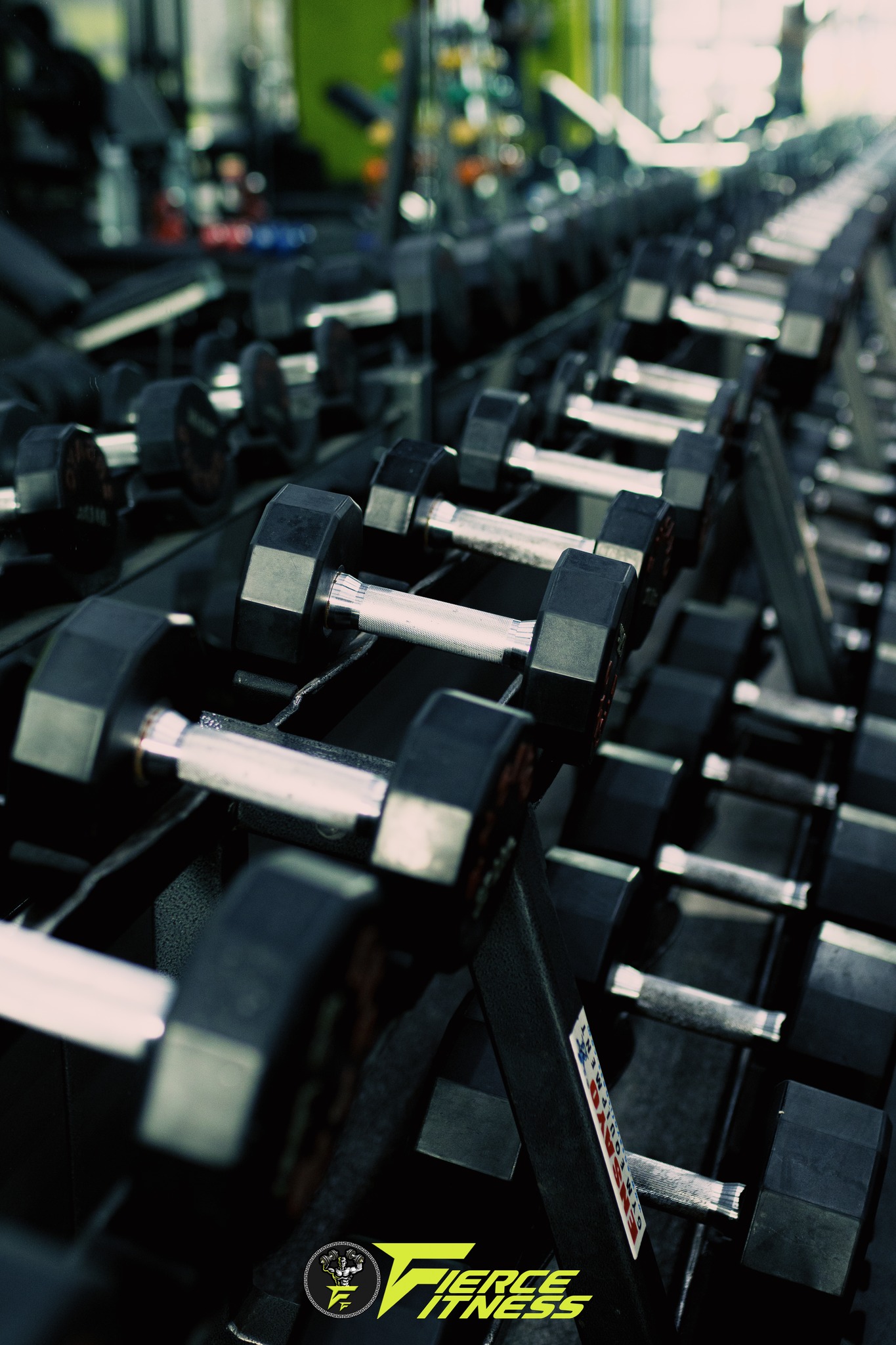Cebu Business Directory - Fierce Fitness Hub - Gallery 1