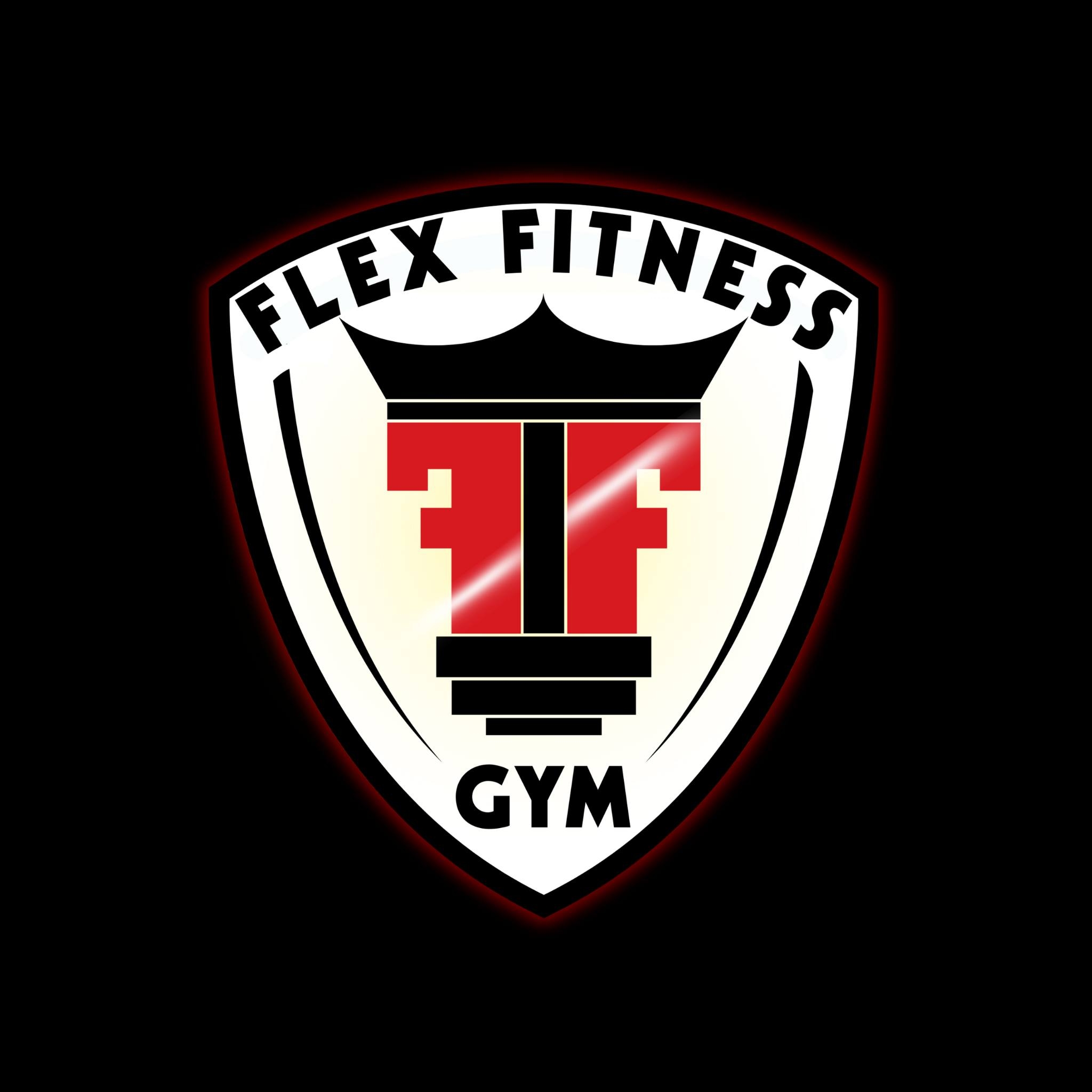 Cebu Business Directory - Flex Fitness Gym logo